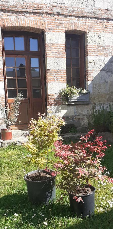 Maison d'Hôtes Archangels Home Saint-Saëns Extérieur photo